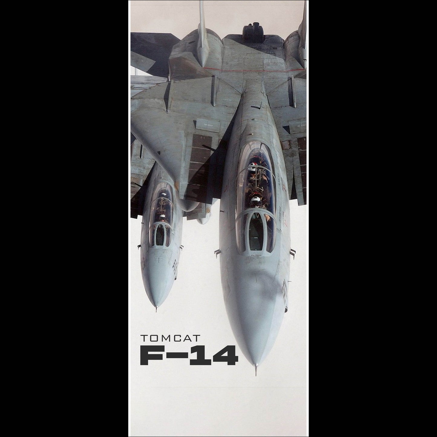 Fighter Jet F14 - Long Poster