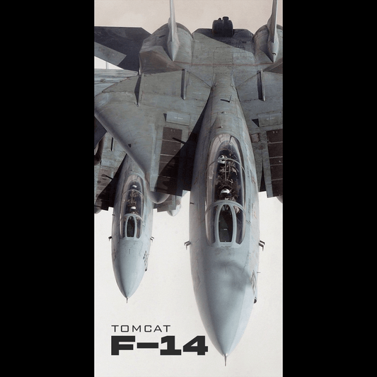 Fighter Jet F14 - Ultra Max Poster