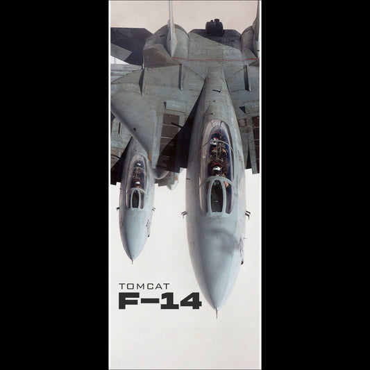 Fighter Jet F14 - Long Poster
