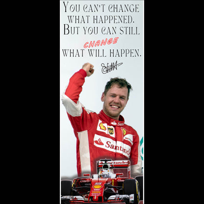 Sebastian Vettel - Long Poster