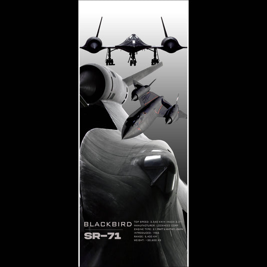 Fighter Jet SR71 - Long Poster