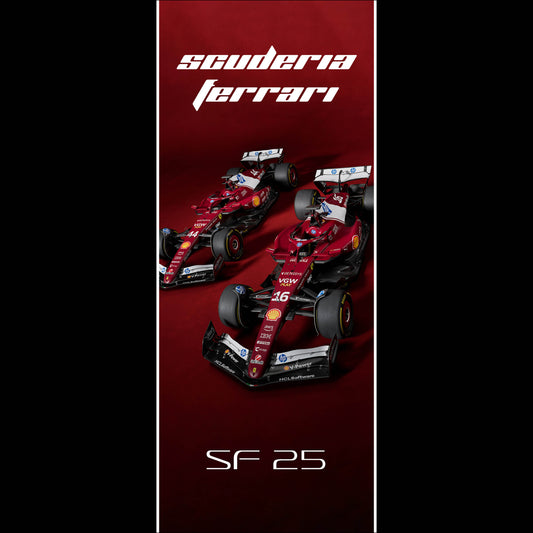 F1 Ferrari Twins - Long Poster